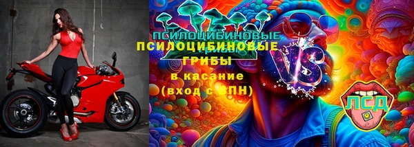 кокс Алзамай